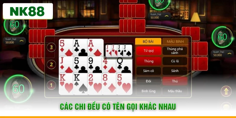 Các chi đều có tên gọi khác nhau
