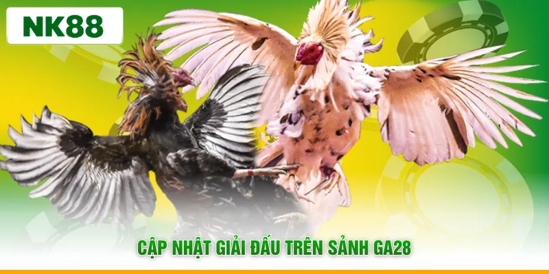 Cập nhật giải đấu trên sảnh Ga28