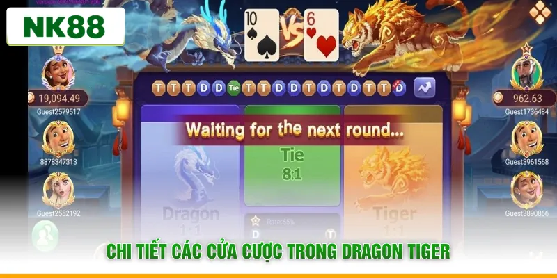Chi tiết các cửa cược trong Dragon Tiger