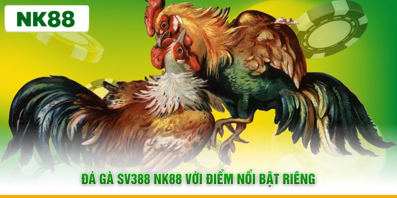 Đá gà SV388 NK88 với điểm nổi bật riêng