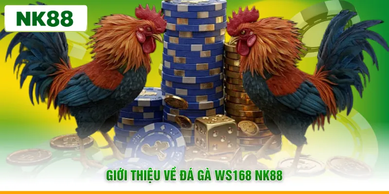 Giới thiệu về đá gà WS168 NK88