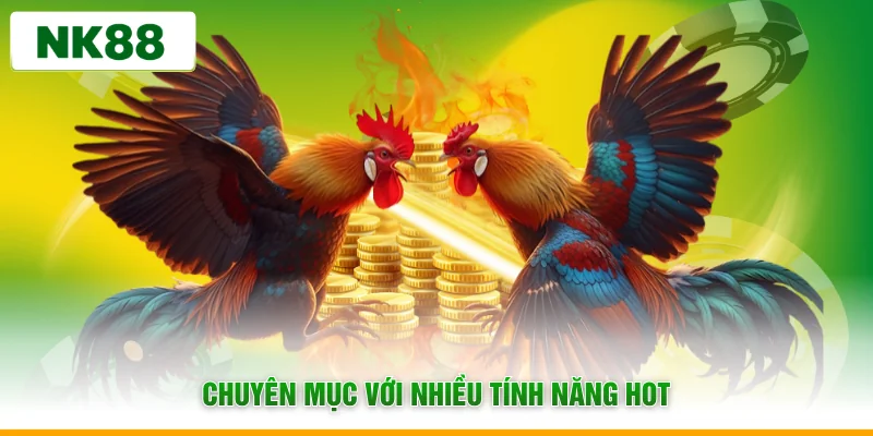 Chuyên mục với nhiều tính năng hot